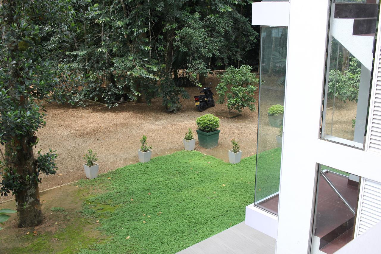 Gem Field Rest Bed & Breakfast Ratnapura Exterior photo